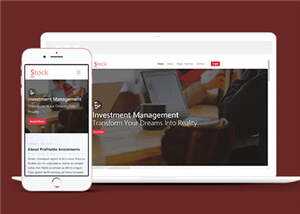 简洁股票金融分析团队HTML网页模板下载 - 淘金派资源网