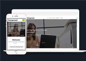 宽屏企业合作商务展示源码模板下载 - 淘金派资源网