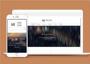 简洁专业服务信息在线响应式网页模板下载 - 淘金派资源网