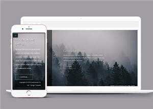 简洁公司产品动态单页面响应式网页模板下载 - 淘金派资源网