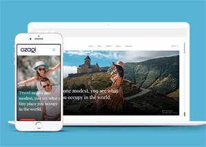 多用途的图文展示博客模板 - 淘金派资源网