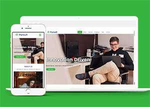 大气创新企业宽屏网站模板下载 - 淘金派资源网