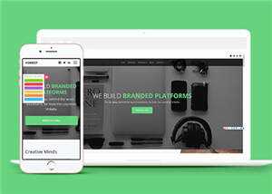 宽屏企业品牌动态展示响应式网站模板下载 - 淘金派资源网