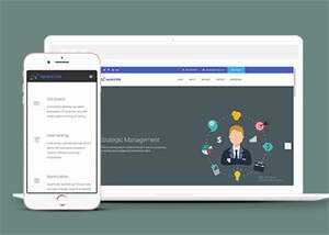 简洁项目外包企业网站模板下载 - 淘金派资源网