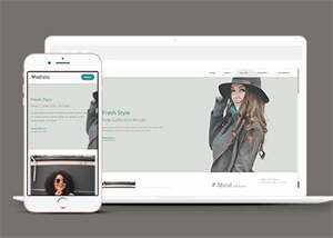 新颖时尚女装品牌企业网站模板 - 淘金派资源网