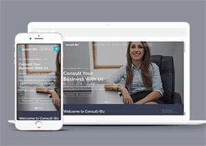 简洁专业投资顾问网站模板下载 - 淘金派资源网
