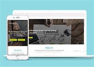 宽屏企业创新设计网站模板下载 - 淘金派资源网