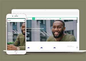 成人高等学校招生网站模板源码 - 淘金派资源网