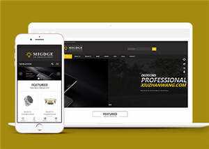 简洁响应式灯具公司前端模板下载 - 淘金派资源网