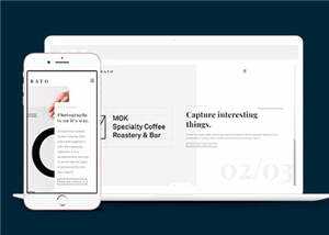 宽屏创意展示动态响应式网站模板下载 - 淘金派资源网