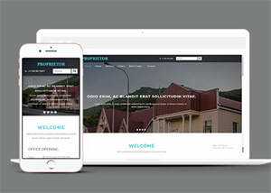 宽屏国外别墅展示类网站模板 - 淘金派资源网
