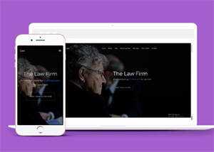 美国律师事务所企业网站模板源码 - 淘金派资源网