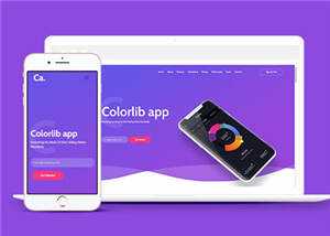 宽屏APP项目展示响应式网页模板下载 - 淘金派资源网