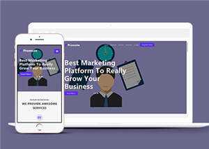 简约业务服务展示响应式网页模板下载 - 淘金派资源网