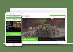 响应式烹饪厨师网站模板下载 - 淘金派资源网