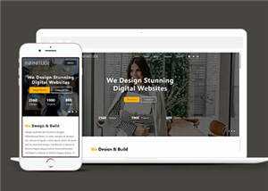 宽屏网站设计服务响应式网站模板下载 - 淘金派资源网