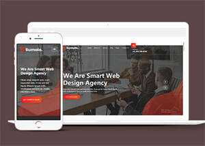 web软件应用开发公司网站模板 - 淘金派资源网