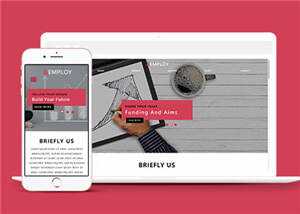 宽屏数据分析服务公司源码模板下载 - 淘金派资源网