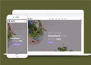 简约创意商业解决方案动态响应式网页模板下载 - 淘金派资源网