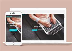 简洁数字团队服务展示响应式网页模板下载 - 淘金派资源网