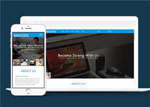 简洁企业咨询服务展示HTML网页模板下载 - 淘金派资源网