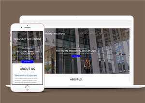 简约公司项目解决方案HTML网页模板下载 - 淘金派资源网