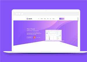 简约软件开发企业网站模板下载 - 淘金派资源网