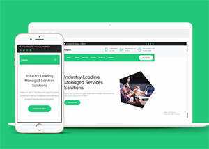 互联网增值服务公司网站模板下载 - 淘金派资源网