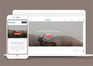 保护野生动物响应式网站模板下载 - 淘金派资源网