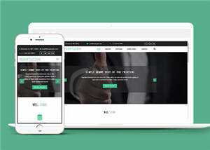 宽屏谈判团队展示HTML网页模板下载 - 淘金派资源网