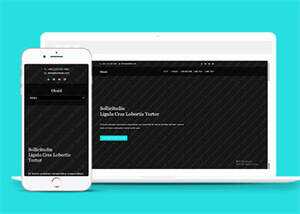 旅游景点展示类网站模板下载 - 淘金派资源网