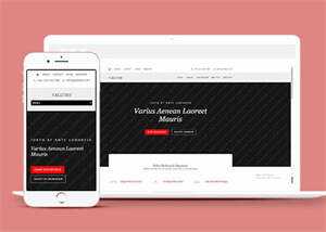 唯美休闲小清新网站模板下载 - 淘金派资源网