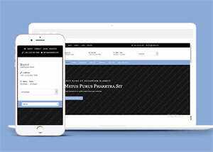 简洁浅蓝色企业CSS3网站模板 - 淘金派资源网