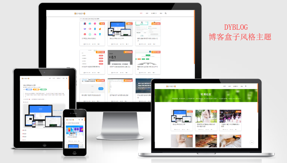 Emlog主题-DYBLOG 个人博客主题模版 - 淘金派资源网