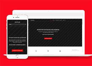 宽屏日出日落摄影网站模板下载 - 淘金派资源网