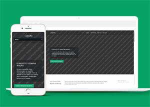 响应式野外游泳爱好者网站模板 - 淘金派资源网