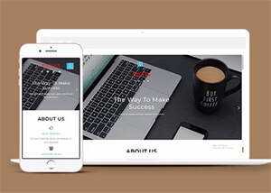 响应式国际金融理财类网站模板 - 淘金派资源网