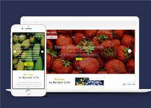 响应式果蔬大棚企业源码模板下载 - 淘金派资源网