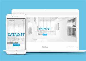 简洁白色VPS销售网站模板下载 - 淘金派资源网