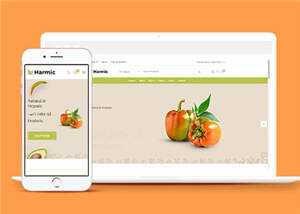 简洁蔬菜水果超市电商网站模板源码下载 - 淘金派资源网