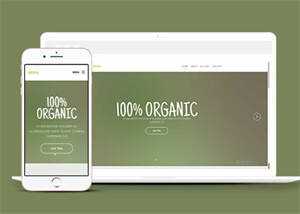 简洁绿色主题公司网站模板下载 - 淘金派资源网