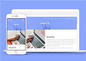 简洁数字产品企业网站模板源码下载 - 淘金派资源网