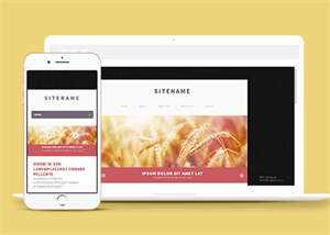 宽屏粉色个人博客主页网站模板 - 淘金派资源网