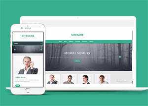 宽屏绿色环保外贸服务公司模板 - 淘金派资源网