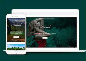 宽屏旅游温泉响应式网站模板 - 淘金派资源网