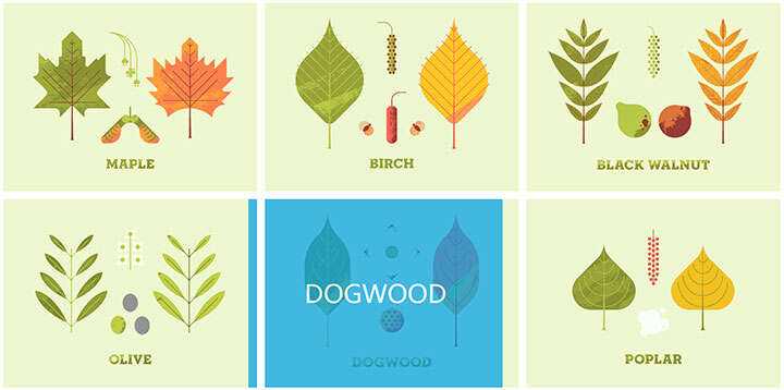 jQuery列表图片鼠标悬停感知方向遮罩层移动特效 - 淘金派资源网