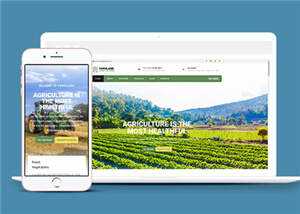 宽屏农业生产项目html模板下载 - 淘金派资源网