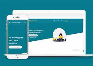 宽屏保险公司客户服务网站模板 - 淘金派资源网