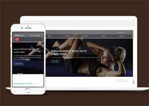 健身房加盟类企业网站模板下载 - 淘金派资源网