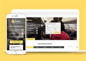 宽屏航空公司机票预订官网模板 - 淘金派资源网